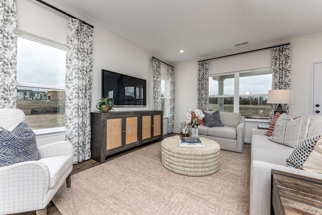 living room with hardwood / wood-style flooring and a wealth of natural light