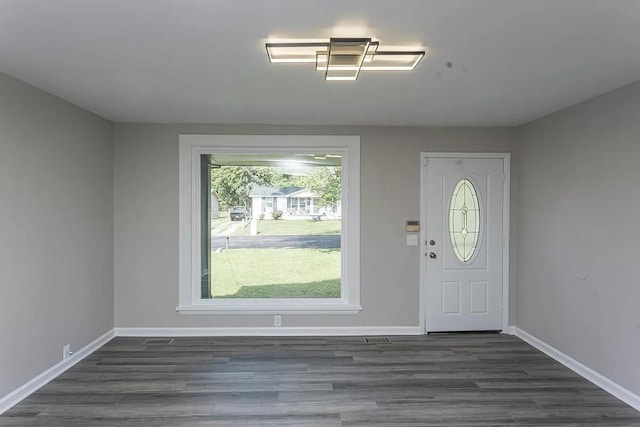 foyer entrance featuring dark wood-type flooring and a wealth of natural light