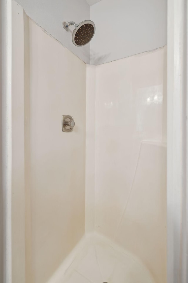 room details featuring walk in shower