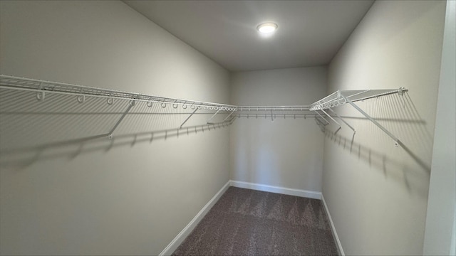 spacious closet featuring dark colored carpet