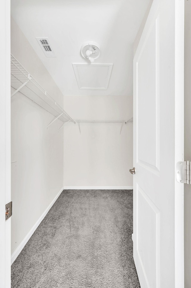 spacious closet featuring carpet flooring