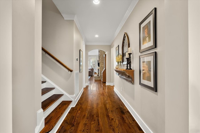 corridor featuring dark hardwood / wood-style flooring and ornamental molding