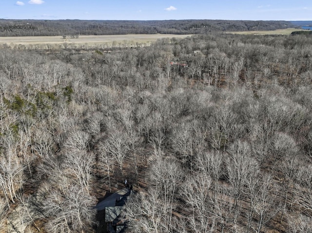 drone / aerial view featuring a rural view