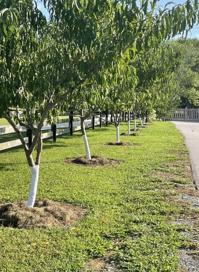 view of community featuring a lawn