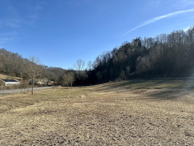 view of yard with a rural view