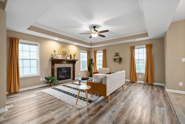 living room featuring a tray ceiling and light wood-type flooring