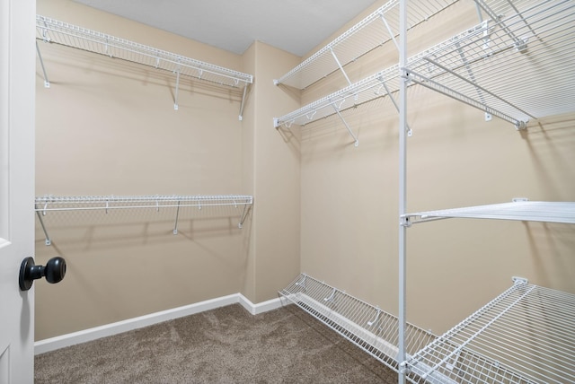 spacious closet featuring carpet floors