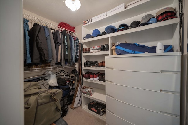 spacious closet with carpet