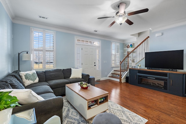 living room with ceiling fan, ornamental molding, and dark hardwood / wood-style flooring