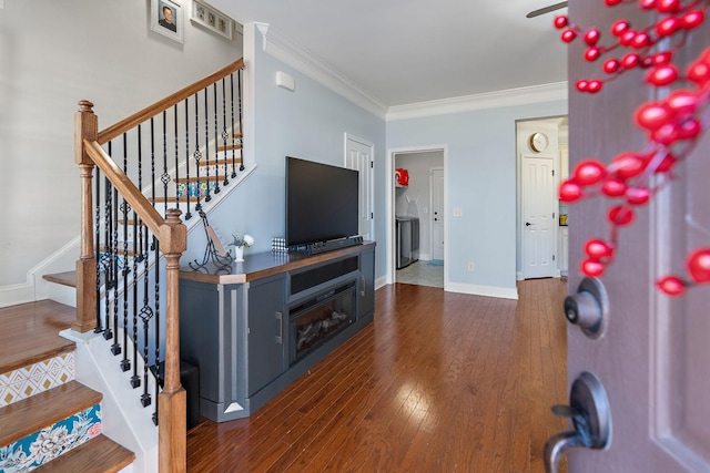 living room featuring dark hardwood / wood-style flooring and crown molding