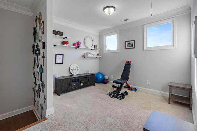 workout room featuring ornamental molding and carpet