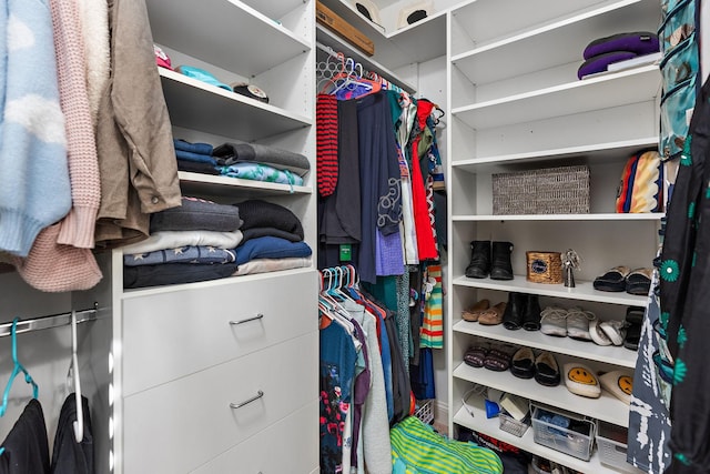 view of spacious closet