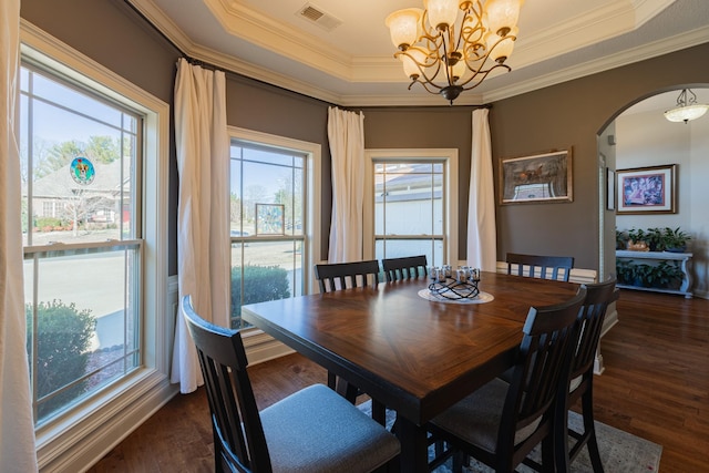 dining area with a tray ceiling, dark hardwood / wood-style flooring, and a wealth of natural light