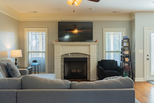 living room with ornamental molding, ceiling fan, and light wood-type flooring