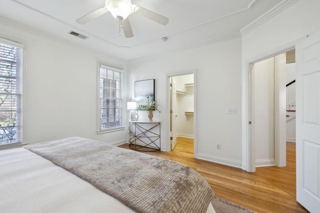 bedroom with a spacious closet, ornamental molding, a closet, ceiling fan, and hardwood / wood-style floors