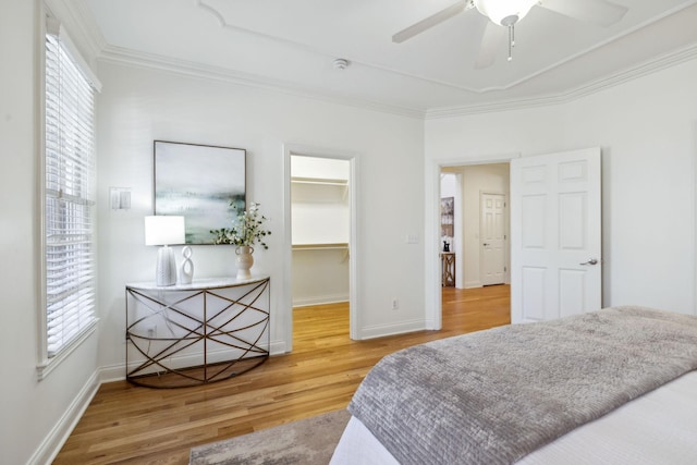 bedroom with crown molding, a walk in closet, a closet, ceiling fan, and hardwood / wood-style floors