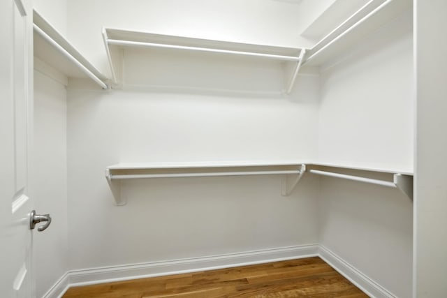 walk in closet with hardwood / wood-style flooring