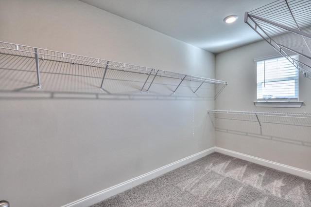 spacious closet with carpet flooring