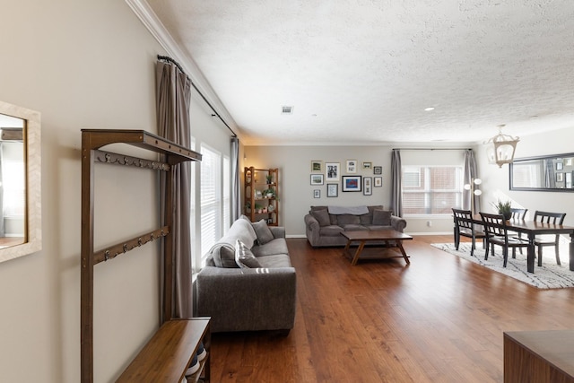 living room with hardwood / wood-style floors, ornamental molding, and a textured ceiling