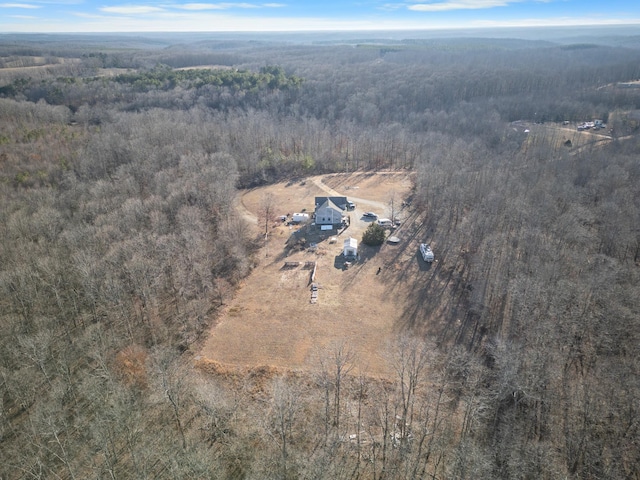 1650 Little Fish Trap Rd, Lawrenceburg, TN 38464 - drone / aerial view
