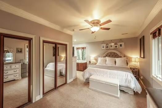 bedroom featuring crown molding, light carpet, ceiling fan, and a closet