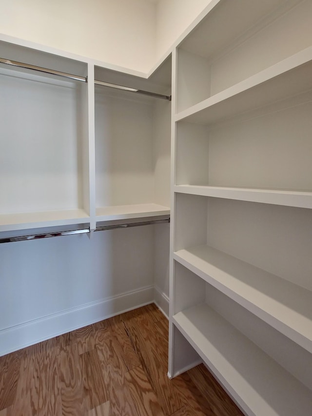 spacious closet with hardwood / wood-style floors