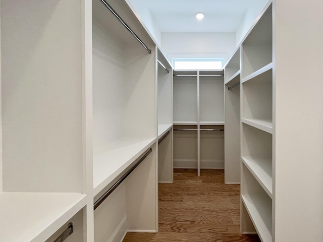 spacious closet with hardwood / wood-style flooring