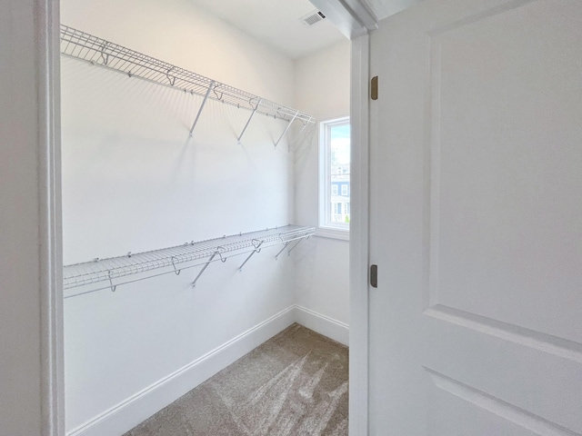 spacious closet with carpet