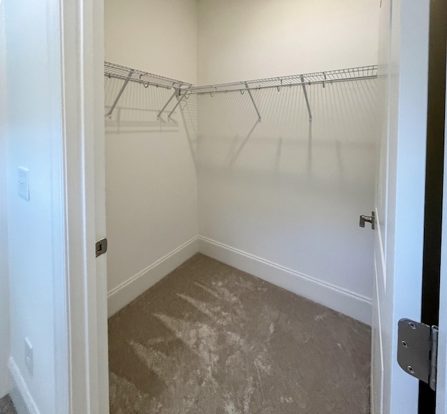 spacious closet with carpet