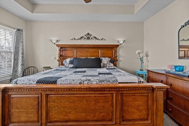 bedroom with a tray ceiling