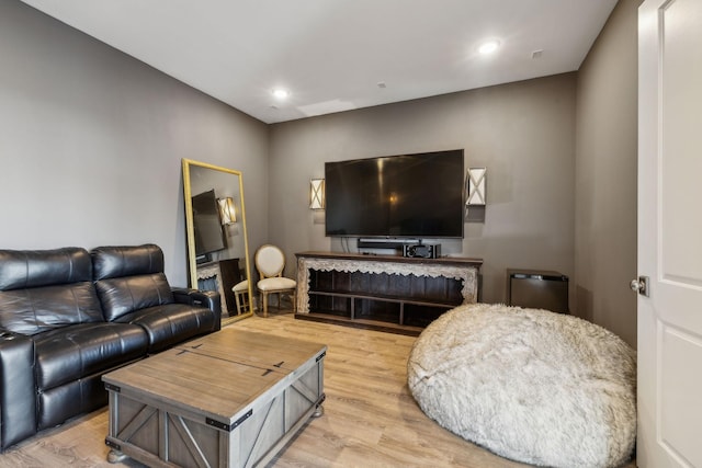 living room featuring light hardwood / wood-style flooring