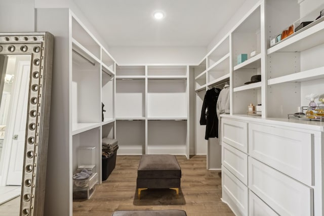 walk in closet with dark hardwood / wood-style floors