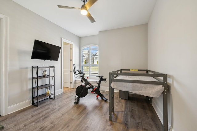 workout area with hardwood / wood-style flooring and ceiling fan