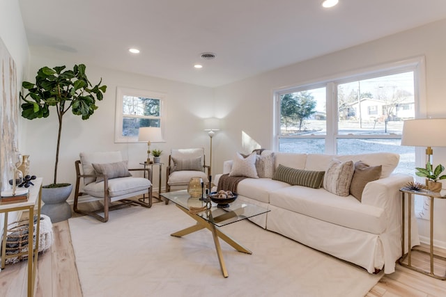 living room featuring plenty of natural light and hardwood / wood-style floors