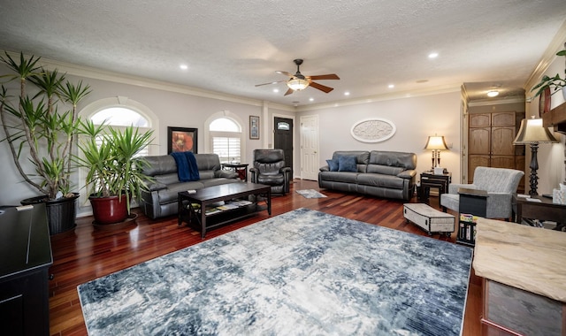 living room featuring ornamental molding, dark wood-type flooring, ceiling fan, and a textured ceiling