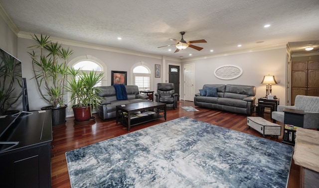 living room featuring dark hardwood / wood-style flooring, ceiling fan, ornamental molding, and a textured ceiling