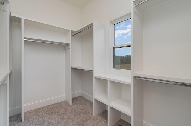 spacious closet with light carpet