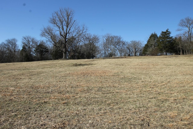 1060 Harsh Ln, Castalian Springs TN, 37031 land for sale