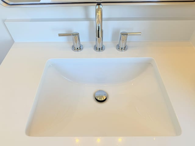 interior details featuring sink