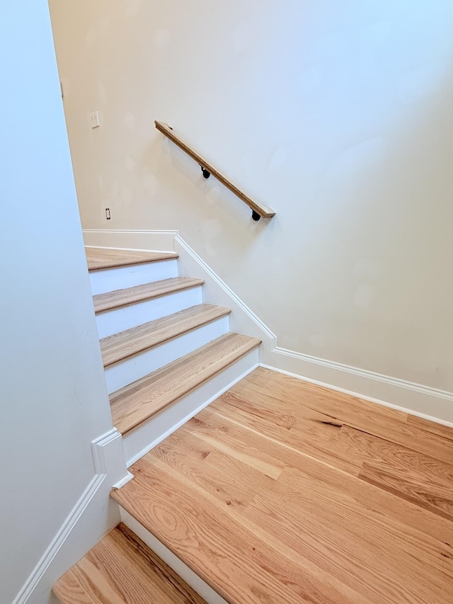 staircase with wood-type flooring