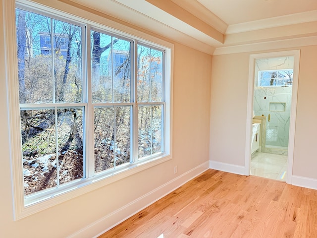 empty room featuring ornamental molding and light hardwood / wood-style flooring