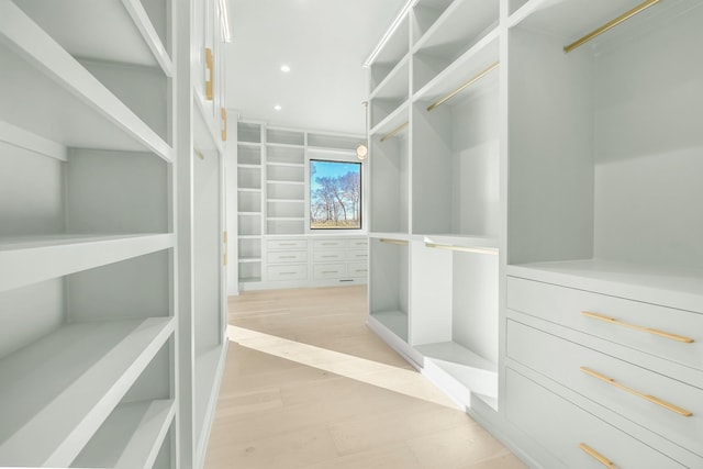 walk in closet featuring light hardwood / wood-style flooring