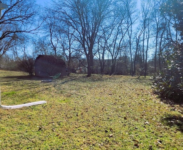 view of yard with a storage unit