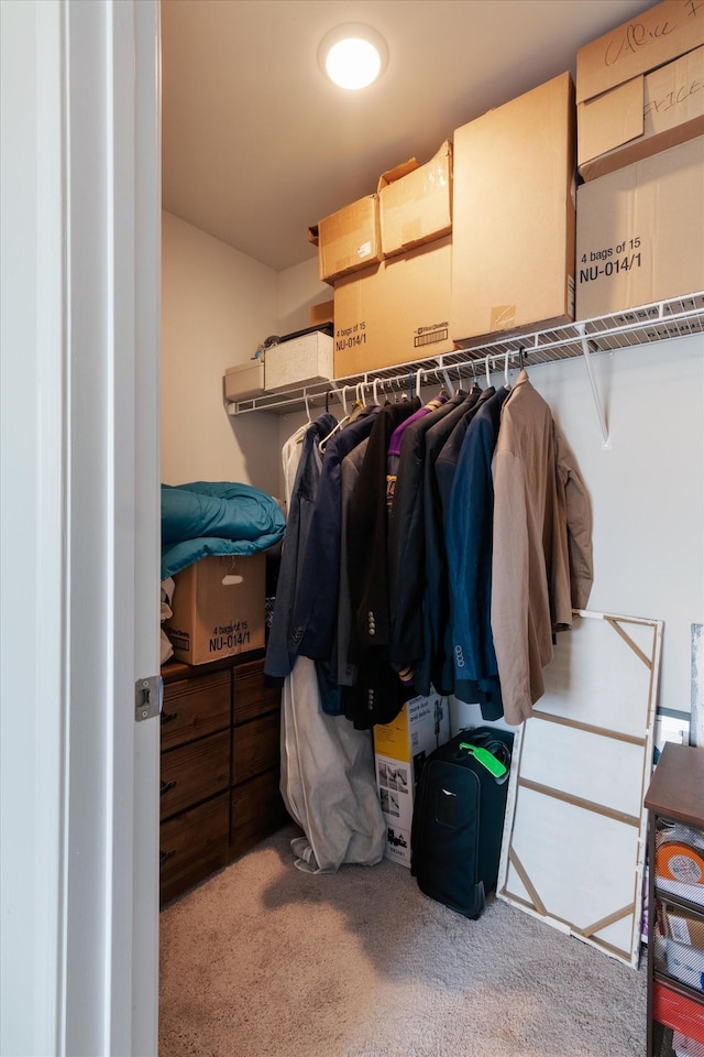 walk in closet with light carpet