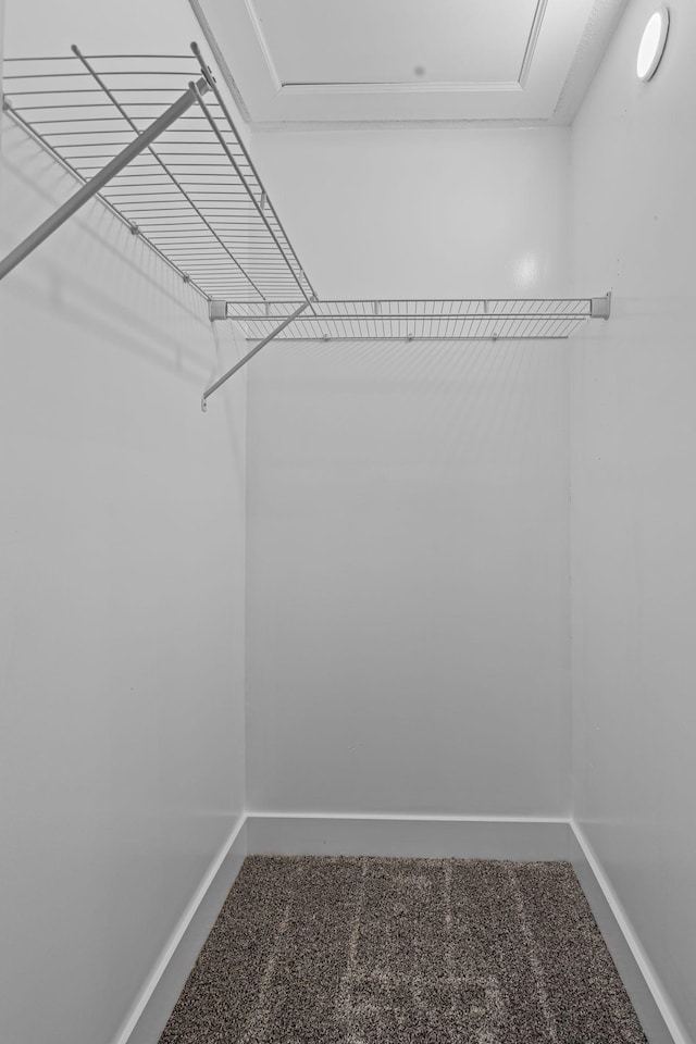 spacious closet featuring carpet flooring