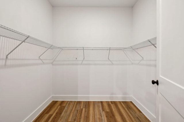 spacious closet with hardwood / wood-style floors