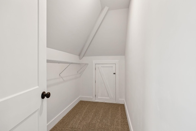 walk in closet featuring carpet floors and vaulted ceiling