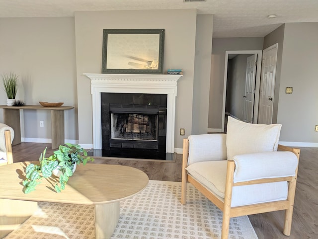 living area featuring wood-type flooring