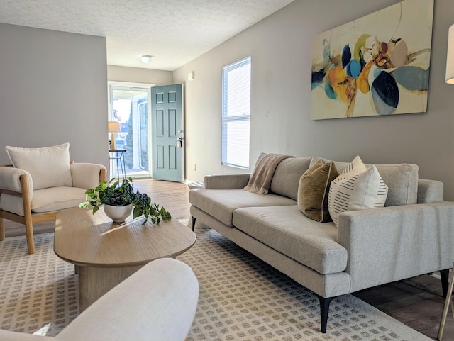 living room featuring a healthy amount of sunlight, light hardwood / wood-style flooring, and a textured ceiling