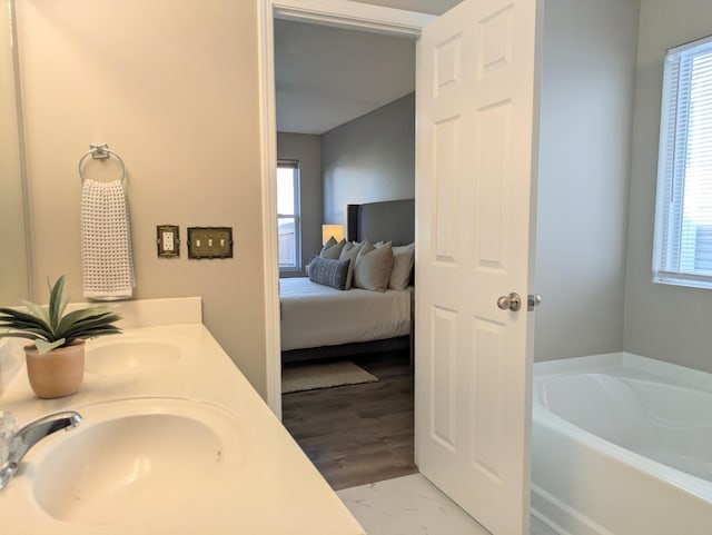 bathroom with sink and a washtub